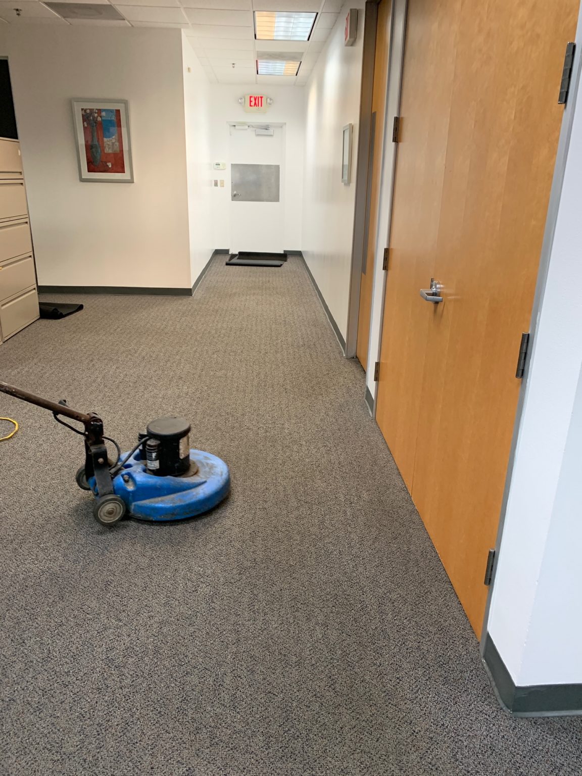 Carpet Cleaning in Miami